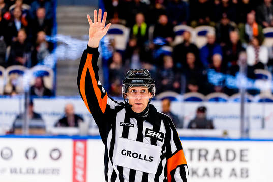 Domare Morgan Johansson