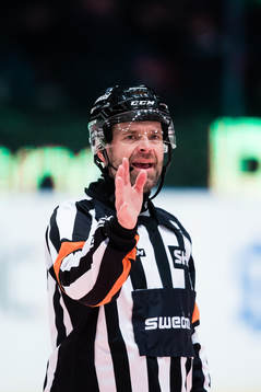 Domare Patrik Sjöberg