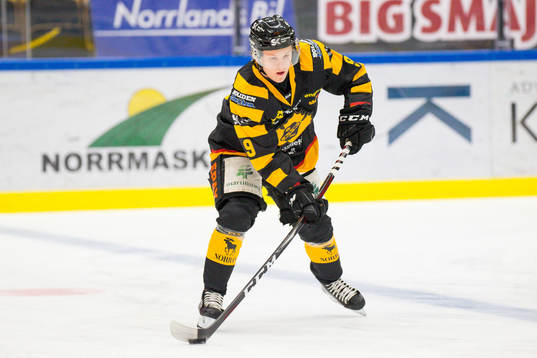 Skellefteås Linus Hedman