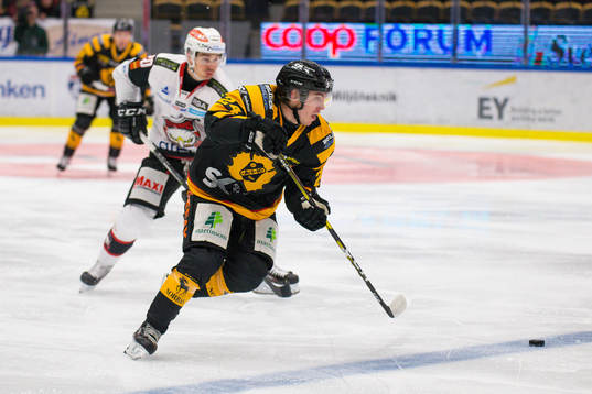 Skellefteås Andreas Wingerli