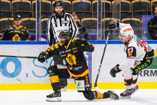 Skellefteås Edwin Hedberg och Malmö Redhawks Christoffer