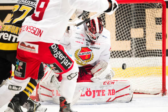 Almtunas målvakt Arvid Ljung