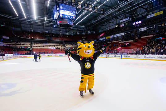 Brynäs maskot Tiger jublar på isen