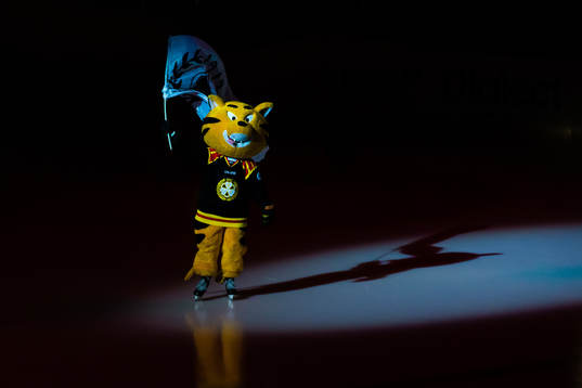 Brynäs maskot Tiger innan ishockeymatchen i SHL mellan