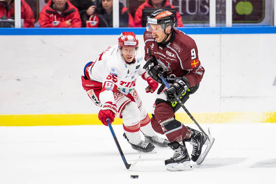 Malmö Redhawks Frederik Storm och Timrås Vilmos Gallo
