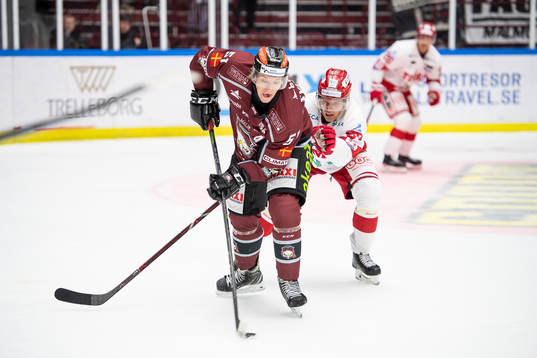 Malmö Redhawks Emil Sylvegård