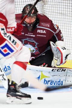 Malmö Redhawks målvakt Oscar Alsenfelt