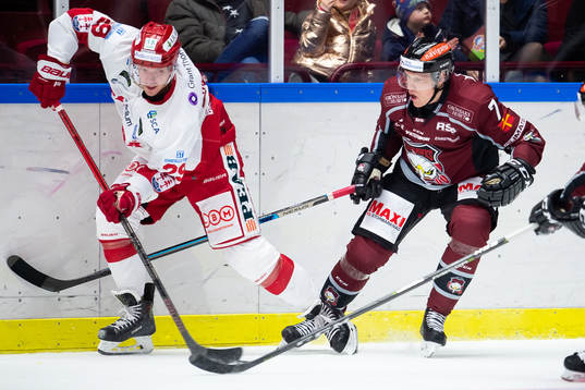 Malmö Redhawks Niclas Lundgren och Timrås Morten Madsen