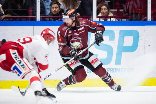 Malmö Redhawks Stefan Warg