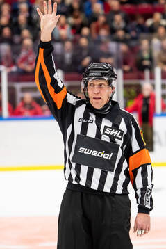 Domare Morgan Johansson