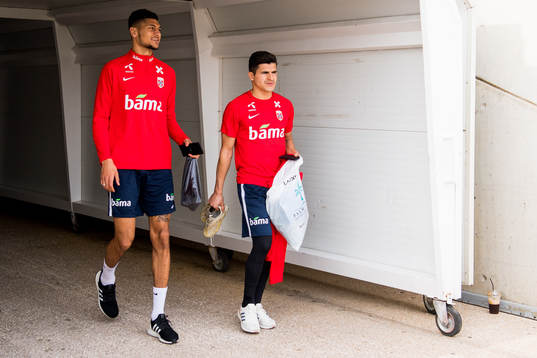 Bjørn Maars Johnsen and Tarik Elyounoussi of Norway