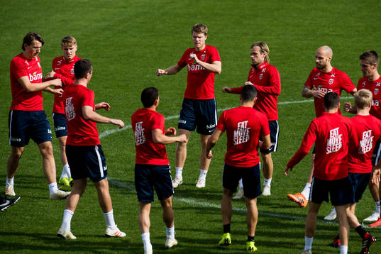 Sander Berge, Martin Ødegaard, Sigurd Rosted, Iver Fossum,