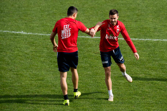 Mohamed Elyounoussi and Martin Linnes of Norway