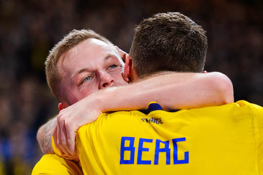Sebastian Larsson and Marcus Berg of Sweden celebrates
