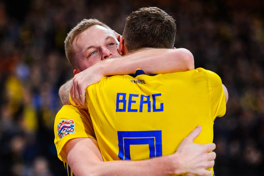 Sebastian Larsson and Marcus Berg of Sweden celebrates