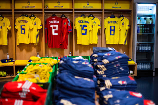 The jerseys of Ludwig Augustinsson, goalkeeper Karl-Johan