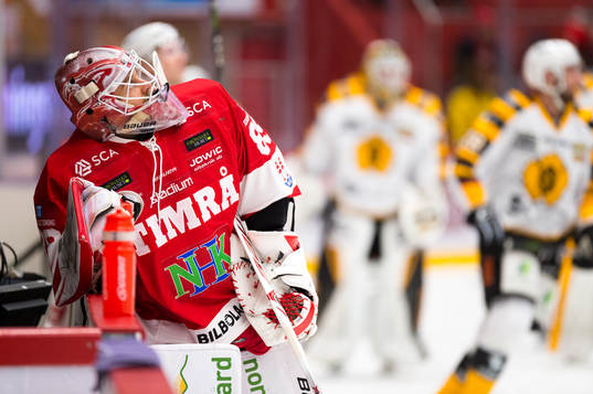 Timrås målvakt Niklas Svedberg
