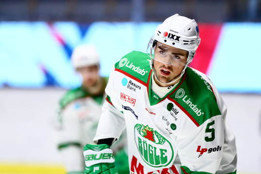 Rögles Alen Bibic