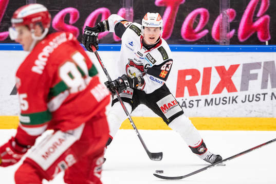 Malmö Redhawks Fredrik Händemark