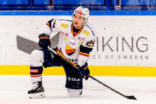 Djurgårdens Sebastian Strandberg deppar