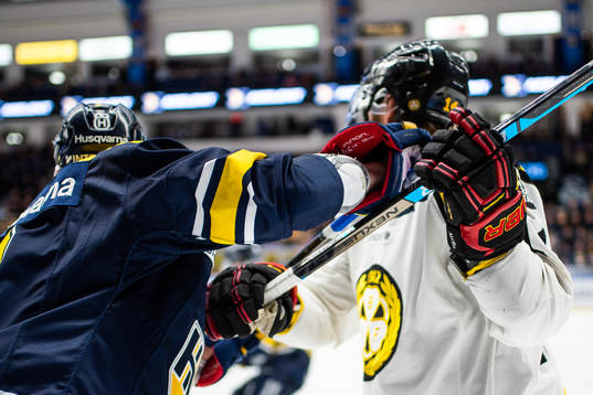s och Brynäs spelare