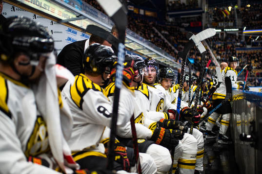 Brynäs spelare på bänken