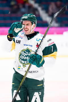 Björklövens Alexander Hellkvist deppar