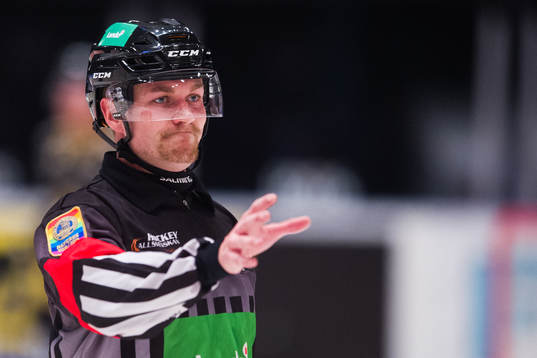 Domare Daniel Eriksson