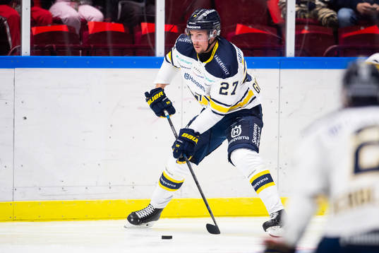s David Gustafsson