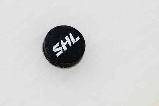 En puck ligger på isen