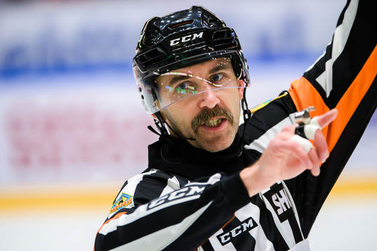 Domare Linus Öhlund