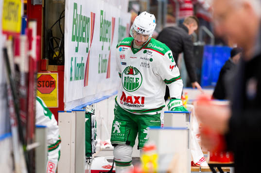 Rögles Alen Bibic deppar