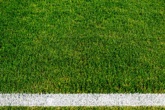 The pitch