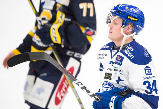 Leksands David Lundmark  deppar