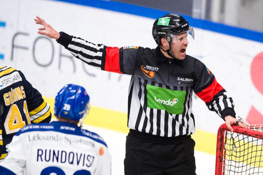 Domare Johan Magnusson