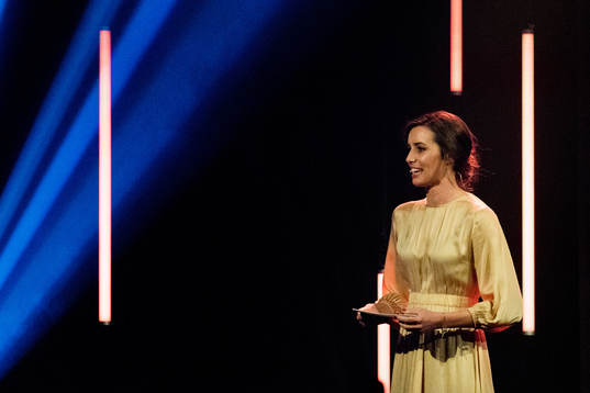 Susanne Wergeland, TV host