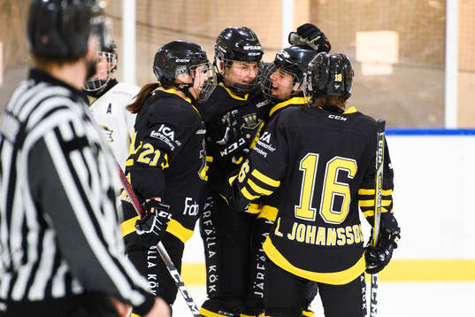 Bläddra bland fler bilder av Ishockey, SDHL, AIK - SDE