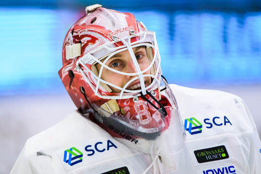 Timrås målvakt Niklas Svedberg