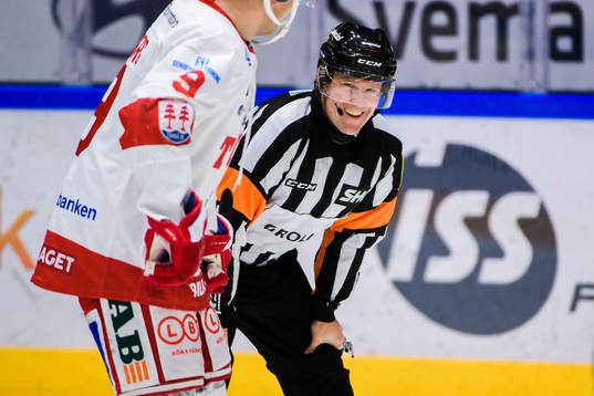 Domare Wolmer Edqvist