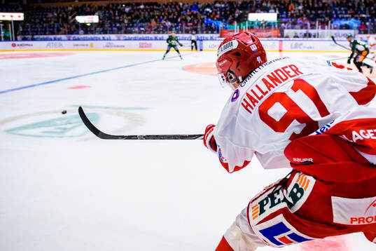 Timrås Filip Hållander