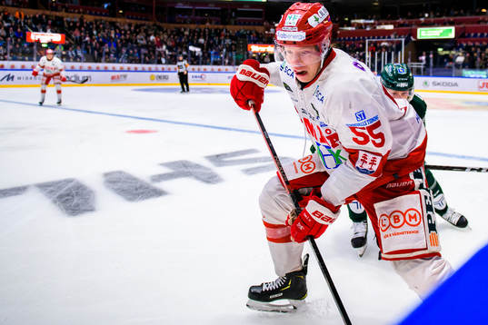Timrås Vilmos Gallo