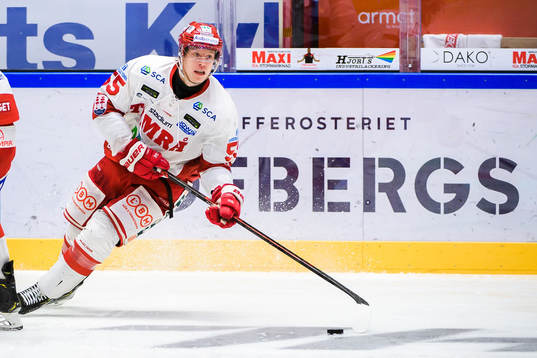 Timrås Vilmos Gallo