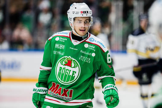 Rögles Leon Bristedt  deppar