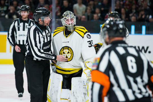 Brynäs målvakt David Rautio missnöjd med domslut från