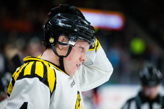 Brynäs Niclas Lundgren