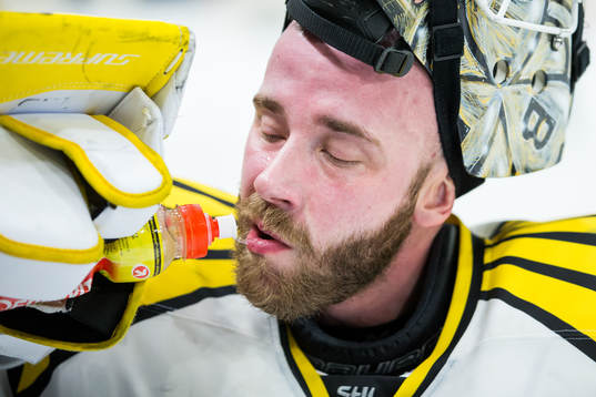 Brynäs målvakt David Rautio