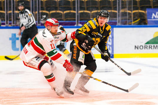 Skellefteås Andreas Wingerli