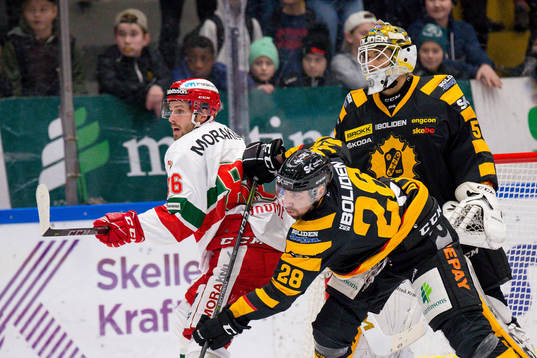 Skellefteås Johan Alm