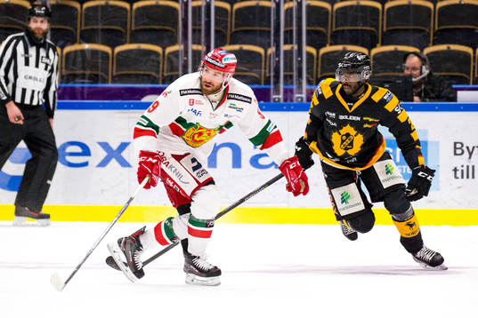 Skellefteås Edwin Hedberg