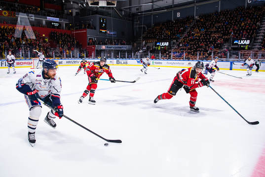 Linköpings Derek Roy